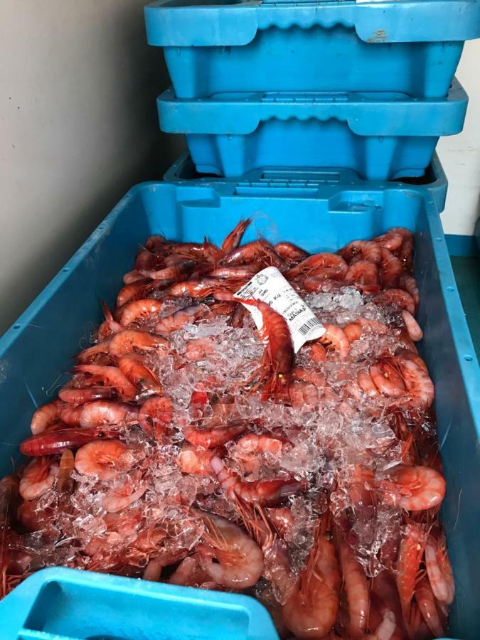 Casita De Pescador Lägenhet Calafell Exteriör bild